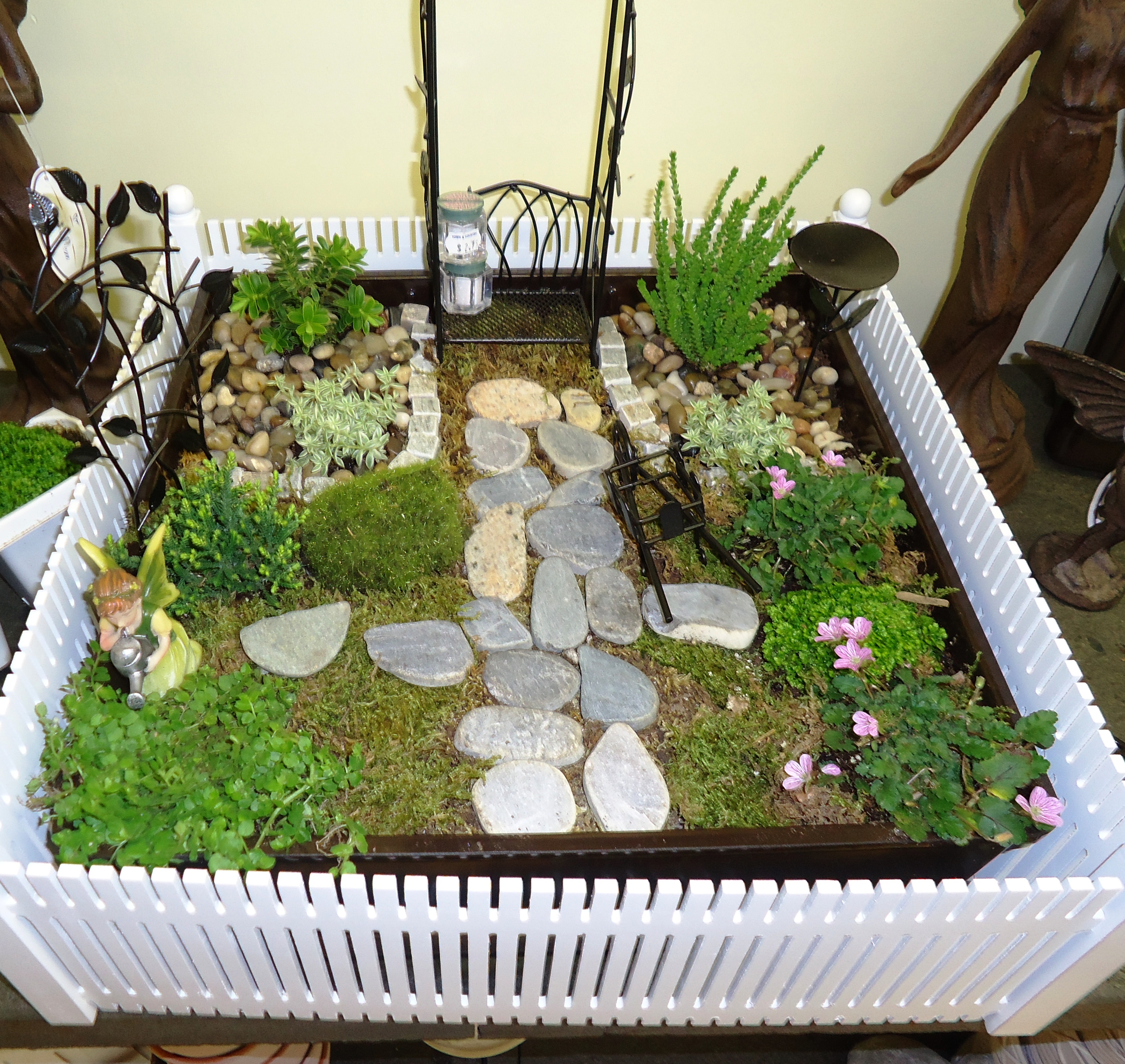 Miniature Gardening - Town  Country Nurseries