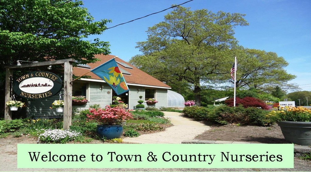 Town & Country Nurseries