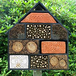 pollinator box