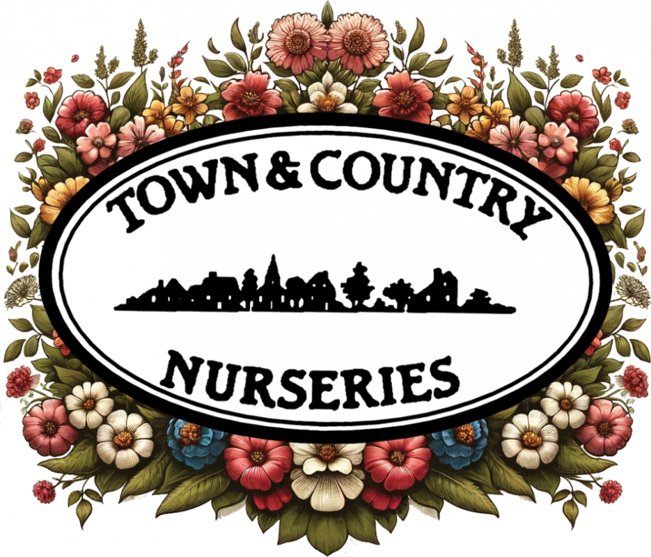 Town & Country Nurseries